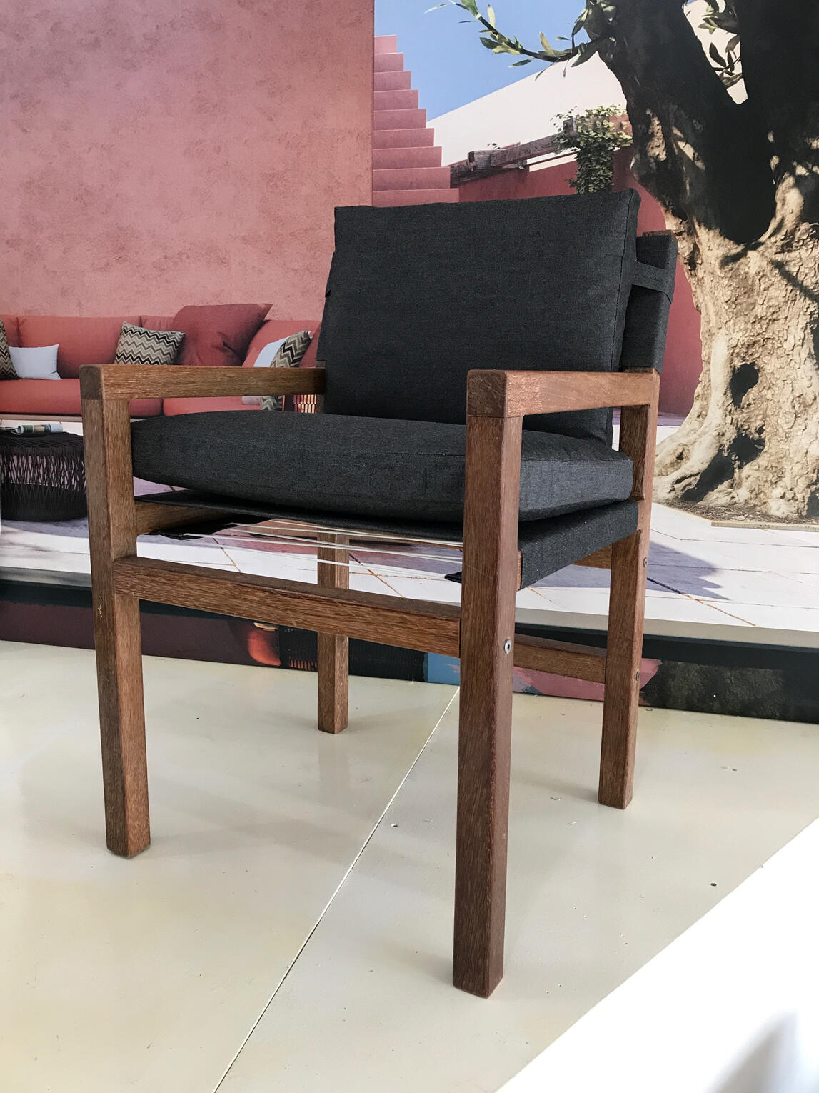 Director Chair with cushions